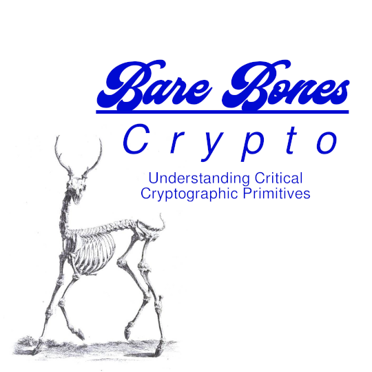Poster for Bare Bones Crypto: Understanding Critical Cryptographic Primitives