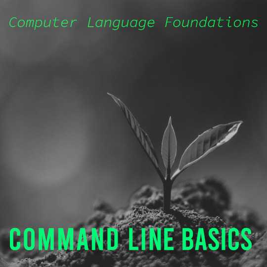 Poster for Computer Language Foundations: Command Line Basics