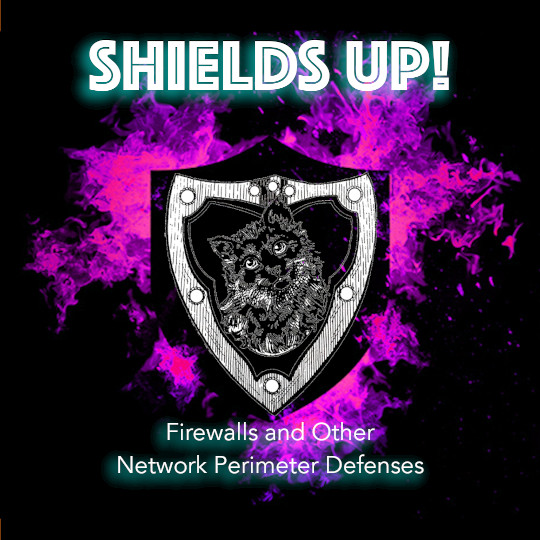 Poster for Shields Up: Firewalls and Other Network Perimeter Defenses