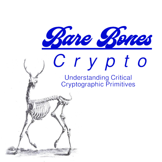 bones crypto