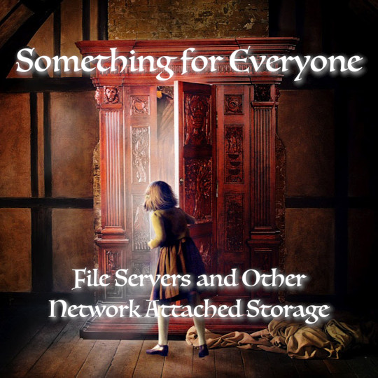 Poster for Something for Everyone: File Servers and Other Network Attached Storage